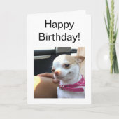 折り畳みカードかわいらしチワフアドッグミーム カード (正面)