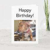 折り畳みカードサイドアイドッグミーム カード (正面)