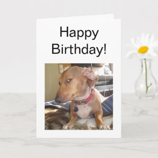 折り畳みカードサイドアイドッグミーム カード