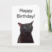 折り畳みカードゾーン外Catミーム カード (正面)