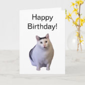 折り畳みカードフキャットミーム カード (黄色い花)