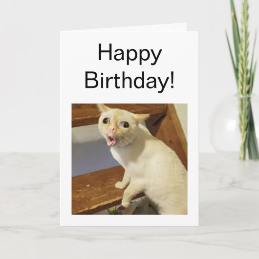 折り畳みカード咳ネコミーム カード (正面)