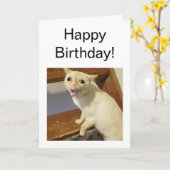 折り畳みカード咳ネコミーム カード (黄色い花)