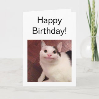 折り畳みカード型丁寧猫ミーム カード