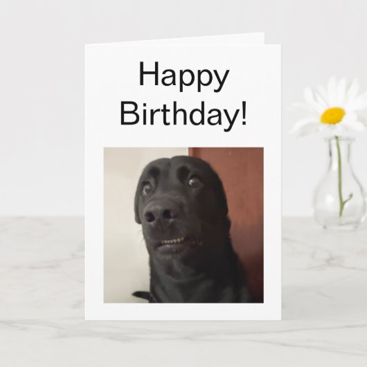 折り畳みカード怖い犬ミーム カード (小さな植物)