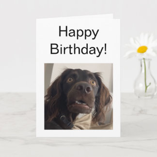 折り畳みカード混乱ドッグミーム カード