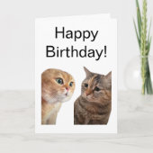 折り畳みカード話し猫ミーム カード (正面)