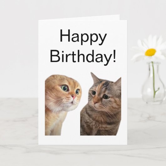 折り畳みカード話し猫ミーム カード (小さな植物)