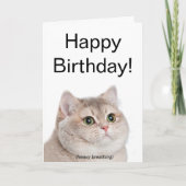 折り畳みカード重呼吸猫ミーム カード (正面)