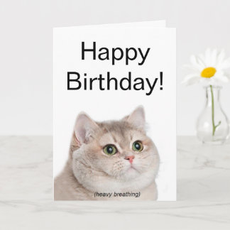 折り畳みカード重呼吸猫ミーム カード