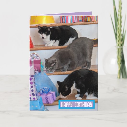 折り畳みグリーティングカード カード (正面)