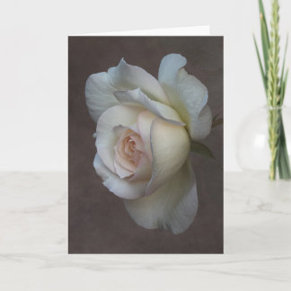 折り畳みグリーティングカード カード