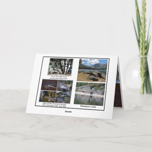 折り畳みグリーティングカード カード (裏面)