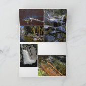 折り畳みグリーティングカード カード (内部)