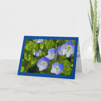 折り畳みグリーティングカード カード