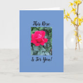 折り畳みグリーティングカード カード (黄色い花)