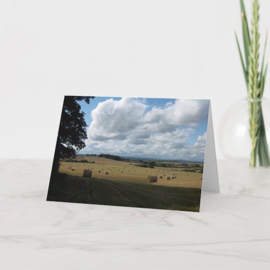 折り畳みグリーティングカード カード (正面)