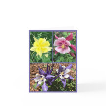 折り畳みグリーティングカード