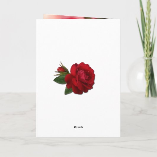 折り畳みグリーティングカード カード (裏面)