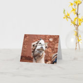 折り畳みグリーティングカード – モロッコのラクダ カード (黄色い花)