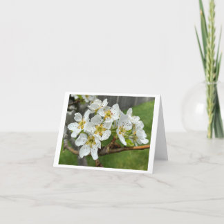 折り畳みノートカード サンキューカード