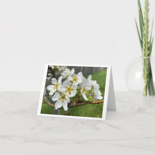 折り畳みノートカード サンキューカード (正面)