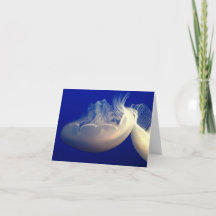 折り畳みノートカード