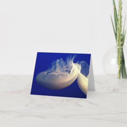 折り畳みノートカード ノートカード (正面)