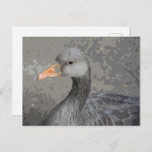 折り畳みビュー葉書 ポストカード (正面/裏面)