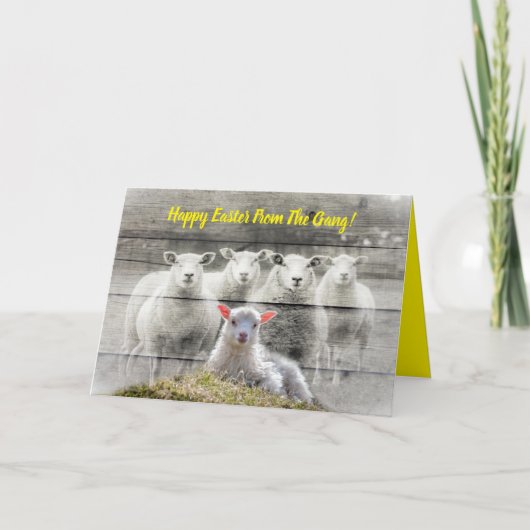 折り畳み式のグリーティングカード カード (正面)