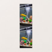 折り畳み縦張りテント。フロンを背に切り出した水槽 名刺 (内部フラット)