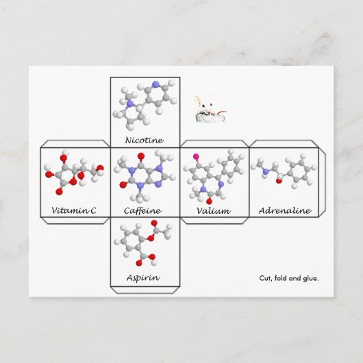 折り畳み葉書 ポストカード (正面)