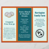 折り畳み農場事業両面フライヤー チラシ (正面)