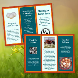 折り畳み農場事業両面フライヤー チラシ