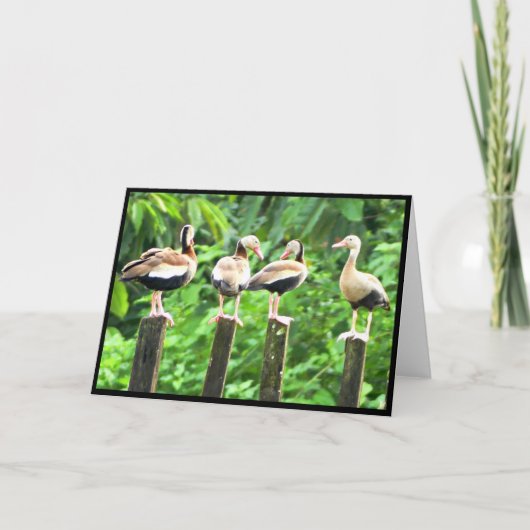 折り畳んだグリーティングカードにアヒル サンキューカード (正面)