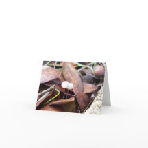 折り畳んだグリーティングカードに小さなキノコ