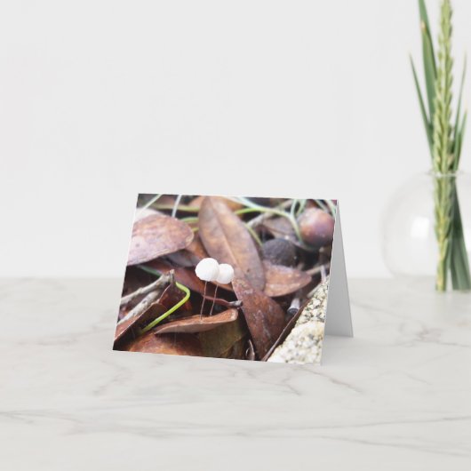 折り畳んだグリーティングカードに小さなキノコ カード (正面)