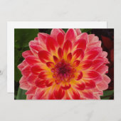 折り空白の畳み招待状 招待状 (正面/裏面)