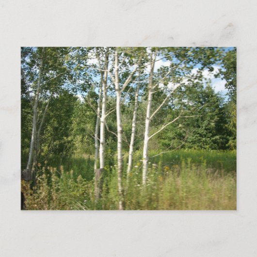 折り紙はがき ポストカード (正面)