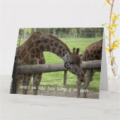 折り紙カード - キリン お見舞いカード カード (黄色い花)