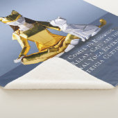 折り紙ゴールドフォイルめい想ヨガのキャットウーマンと猫 シェルパブランケット (3/4)