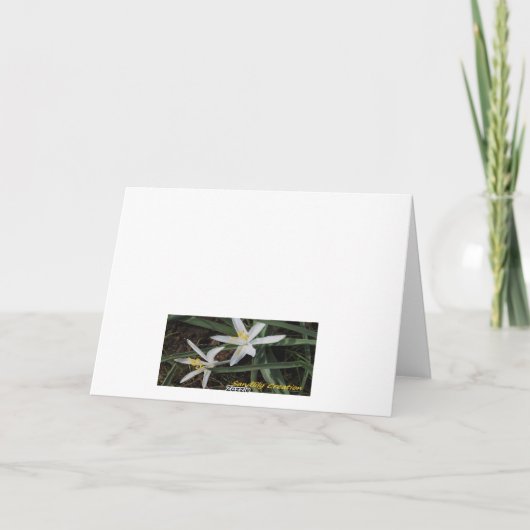 折り考え畳みカード サンキューカード (裏面)