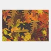 折り返し紙セット-紅葉 ラッピングペーパーシート (正面3)