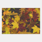 折り返し紙セット-紅葉 ラッピングペーパーシート (正面)