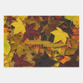折り返し紙セット-紅葉 ラッピングペーパーシート (正面3)