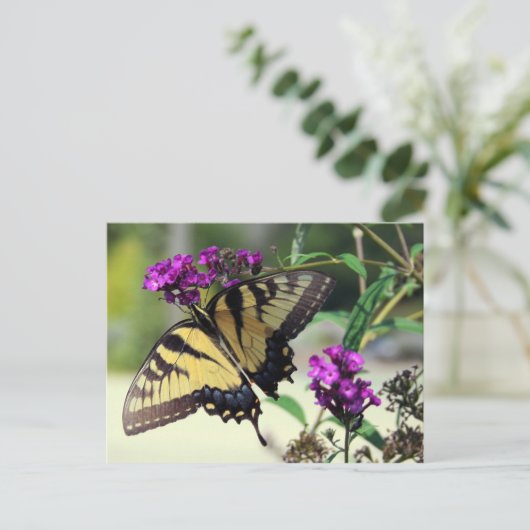 折れたウィングはがき ポストカード (スタンド正面)