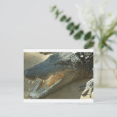 折れた歯を持つワニ.jpg ポストカード (スタンド正面)