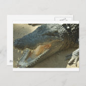 折れた歯を持つワニ.jpg ポストカード (正面/裏面)