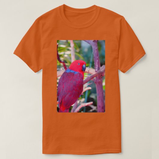 折カラフル性鸚鵡 Tシャツ (デザイン正面)