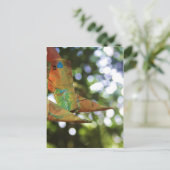 折紙 ポストカード (スタンド正面)